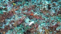 img_0029.jpg
